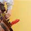 Handyman repair service in Rockford, IL for home fixes and improvements